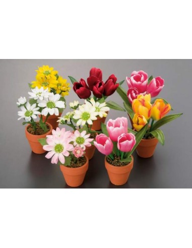 PIANTE E FIORI CON VASO: vendita online PIANTINA 93423/5-92963/64 in offerta