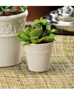 PIANTE E FIORI CON VASO: vendita online VASO C/PIANTINA 28672 10X6,5 in offerta 2