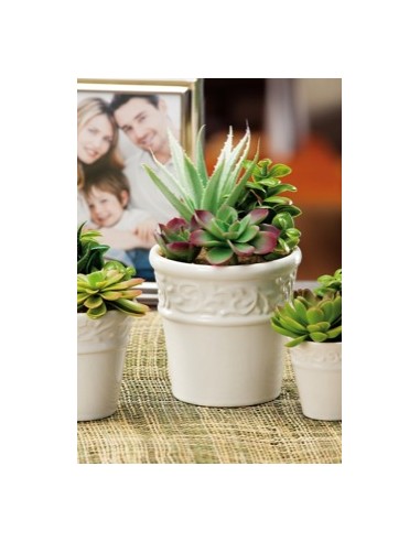 PIANTE E FIORI CON VASO: vendita online VASO C/PIANTINE 28674 D11,5 H20 in offerta