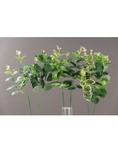 RAMI E COMPOSIZIONI FLOREALI: vendita online RAMOSCELLO 58CM ASSORTITO in offerta