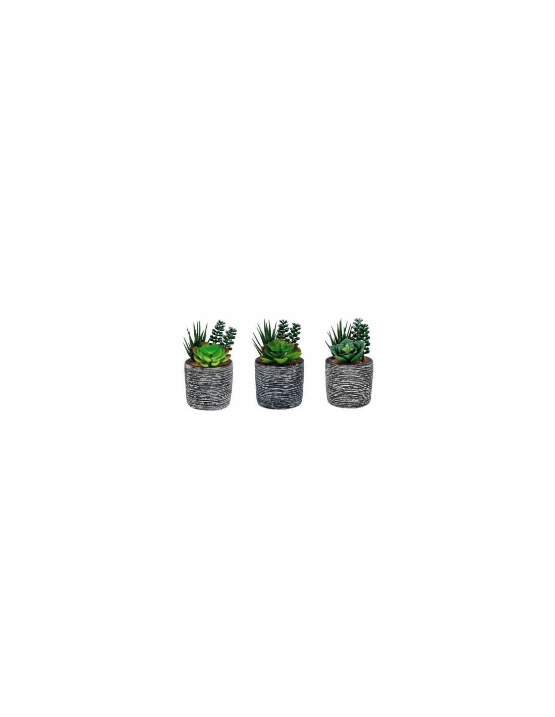 PIANTE E FIORI CON VASO: vendita online VASO 71236 PIANTA GRASSA 8X15CM ASSORTITO in offerta