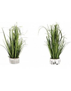 PIANTE E FIORI CON VASO: vendita online VASO 75421 CON PIANTA 13,5X60CM in offerta