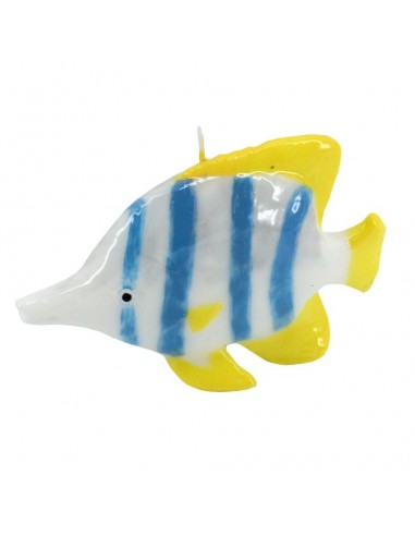 CANDELE: vendita online MARE CANDELA 550640 PESCE GIALLO BLU 16CM in offerta