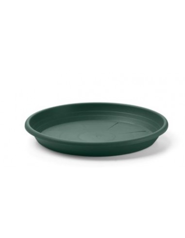 VASI E SOTTO VASI: vendita online SOTTOVASO CILINDRO 17CM VERDE SCURO in offerta