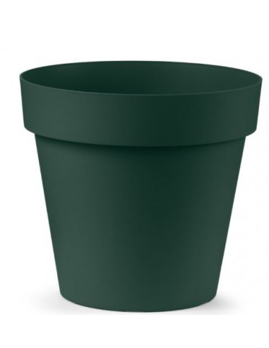 VASI E SOTTO VASI: vendita online VASO CLEO 20CM VERDE SCURO in offerta