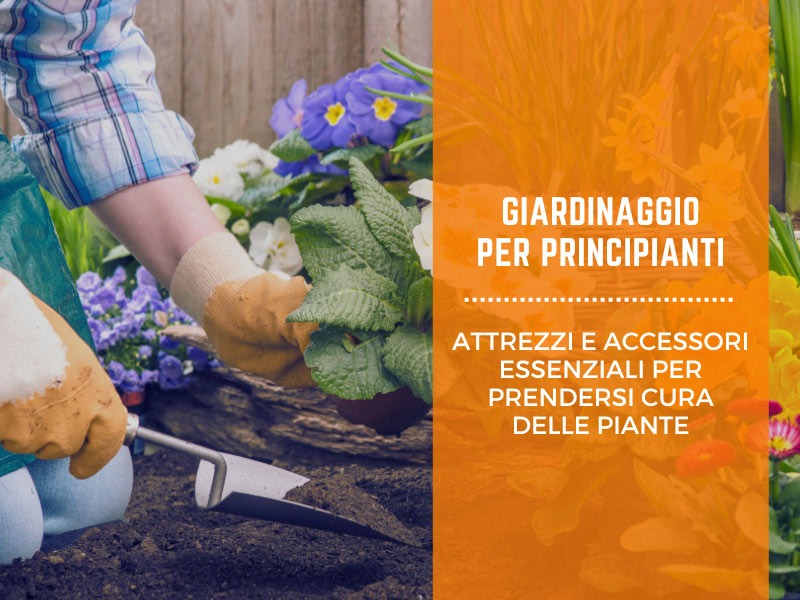Giardinaggio per principianti: attrezzi e accessori essenziali per prendersi cura delle piante